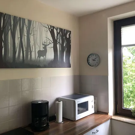 Апартаменты Ferienwohnung_stadtpark